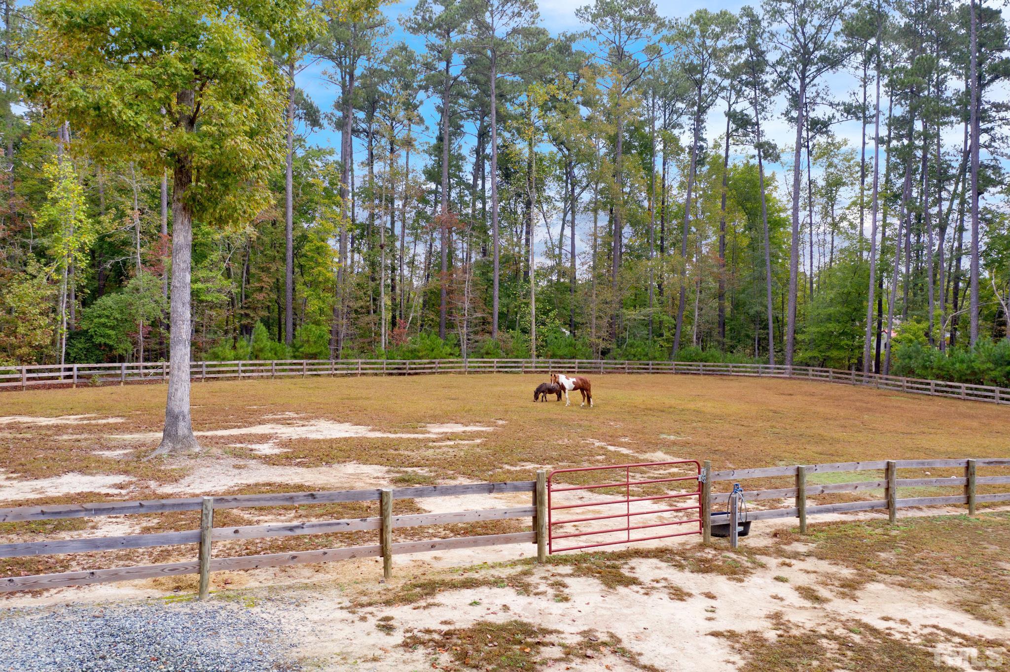 3249 Grand Oak Lane New Hill, NC 27562 - Photo 40 of 65 a view of a yard