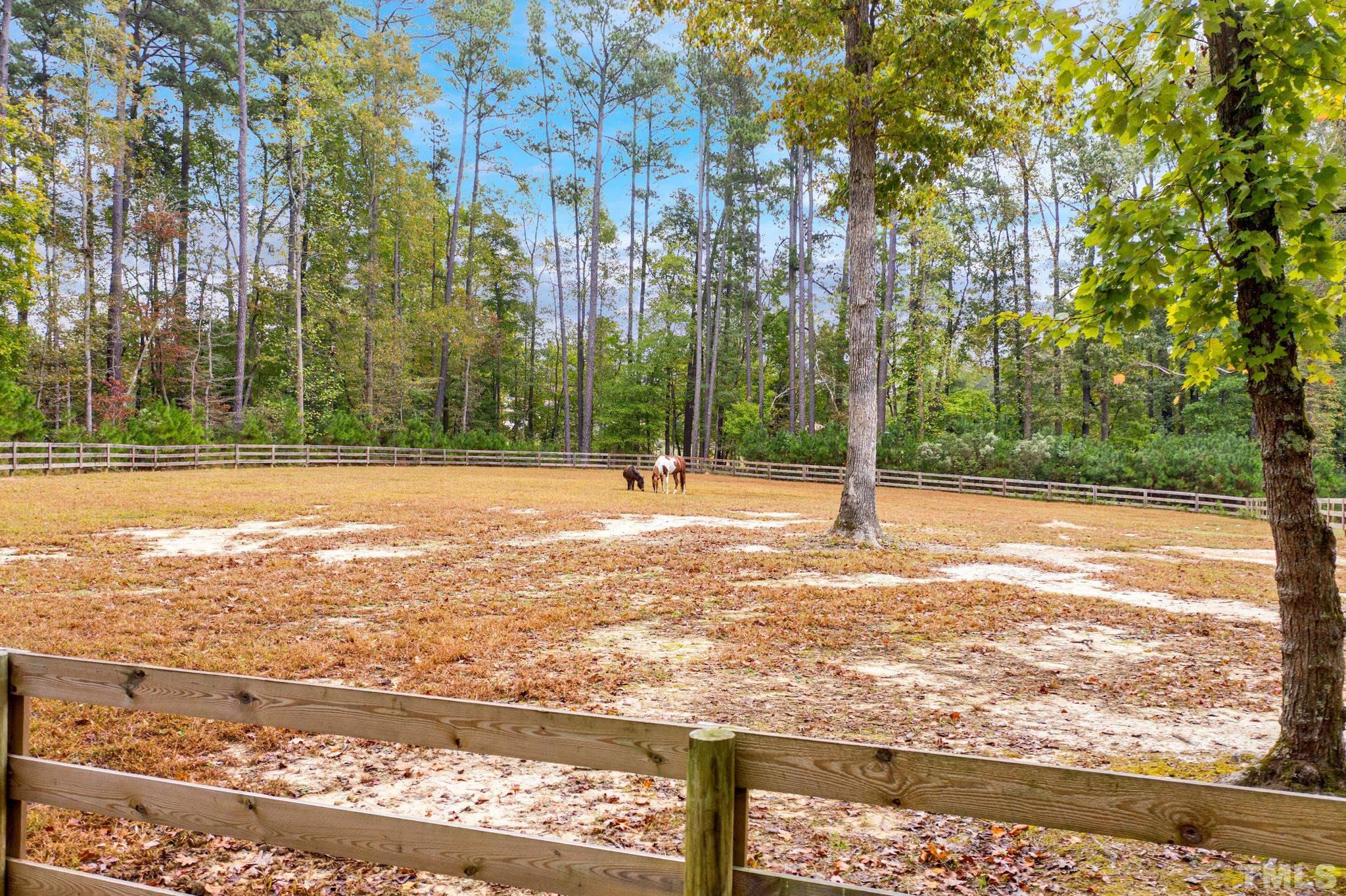 3249 Grand Oak Lane New Hill, NC 27562 - Photo 6 of 65