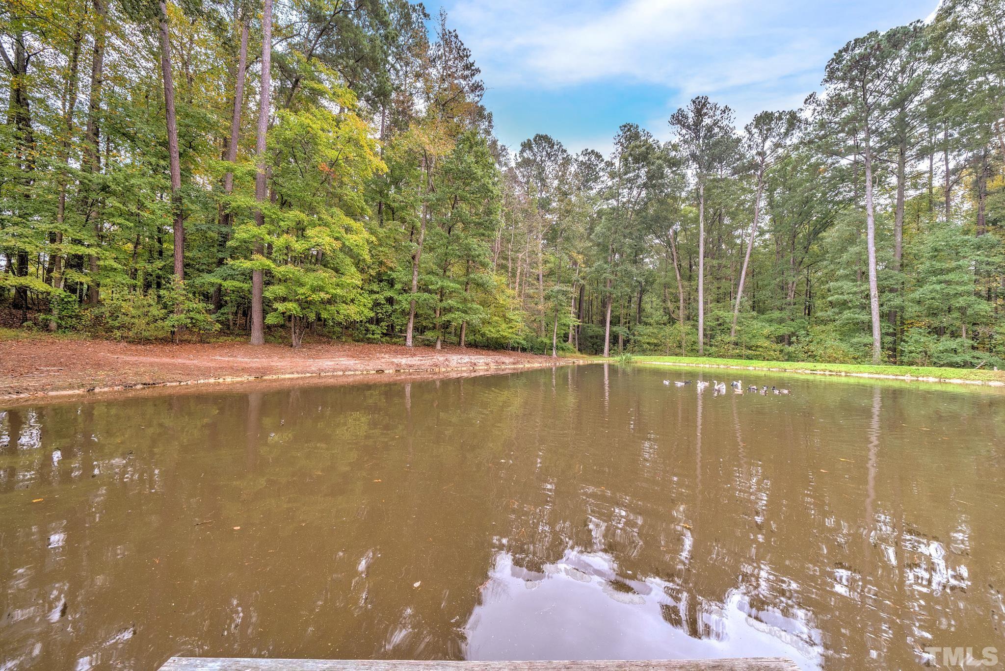 3249 Grand Oak Lane New Hill, NC 27562 - Photo 10 of 65