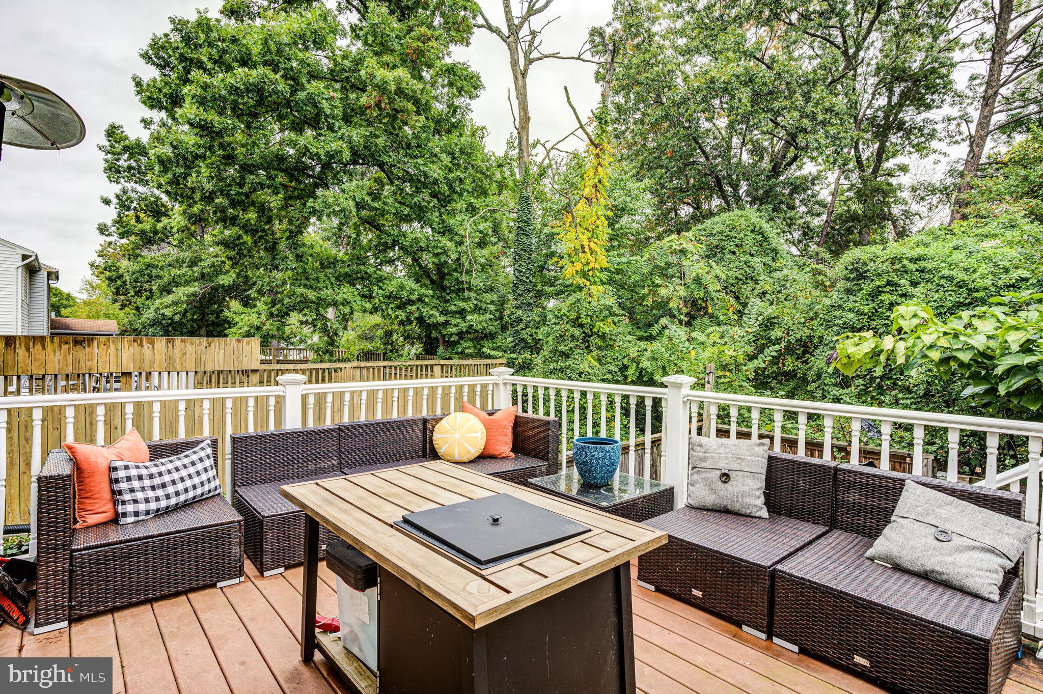 257 Green Fern Way Halethorpe, MD 21227 - Photo 30 of 36 Large Rear Deck with Trex decking and vinyl rails