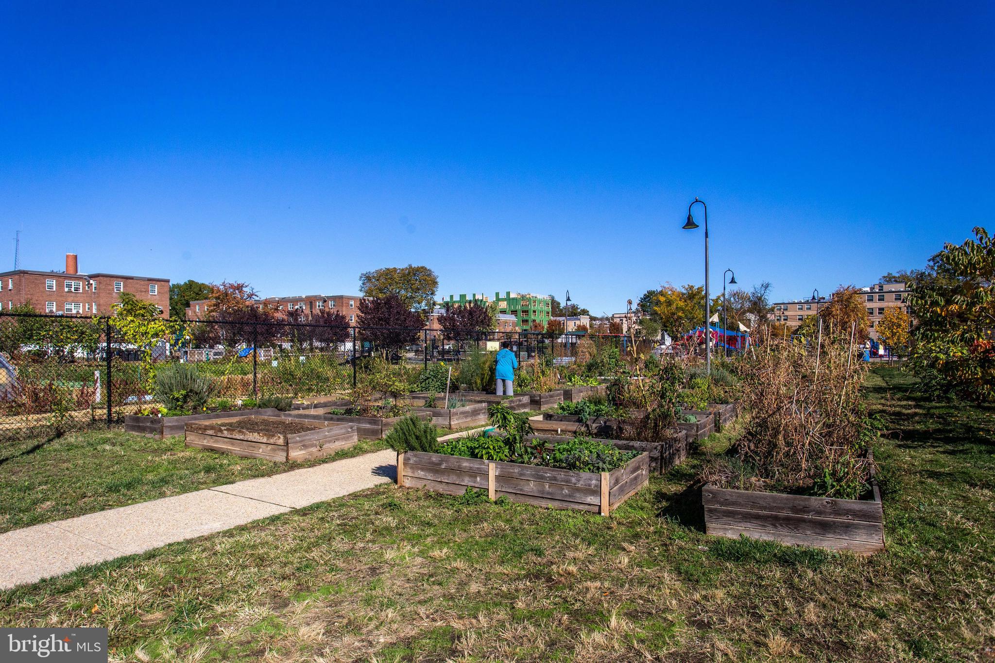 424 Oakdale Place Northwest Washington, DC 20001 - Photo 27 of 35
