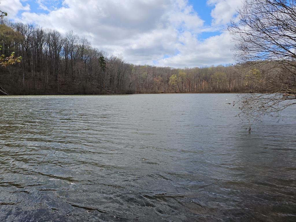 3190 Five Forks Road Pamplin, VA 23958 - Photo 42 of 47 Gallery Image 42
