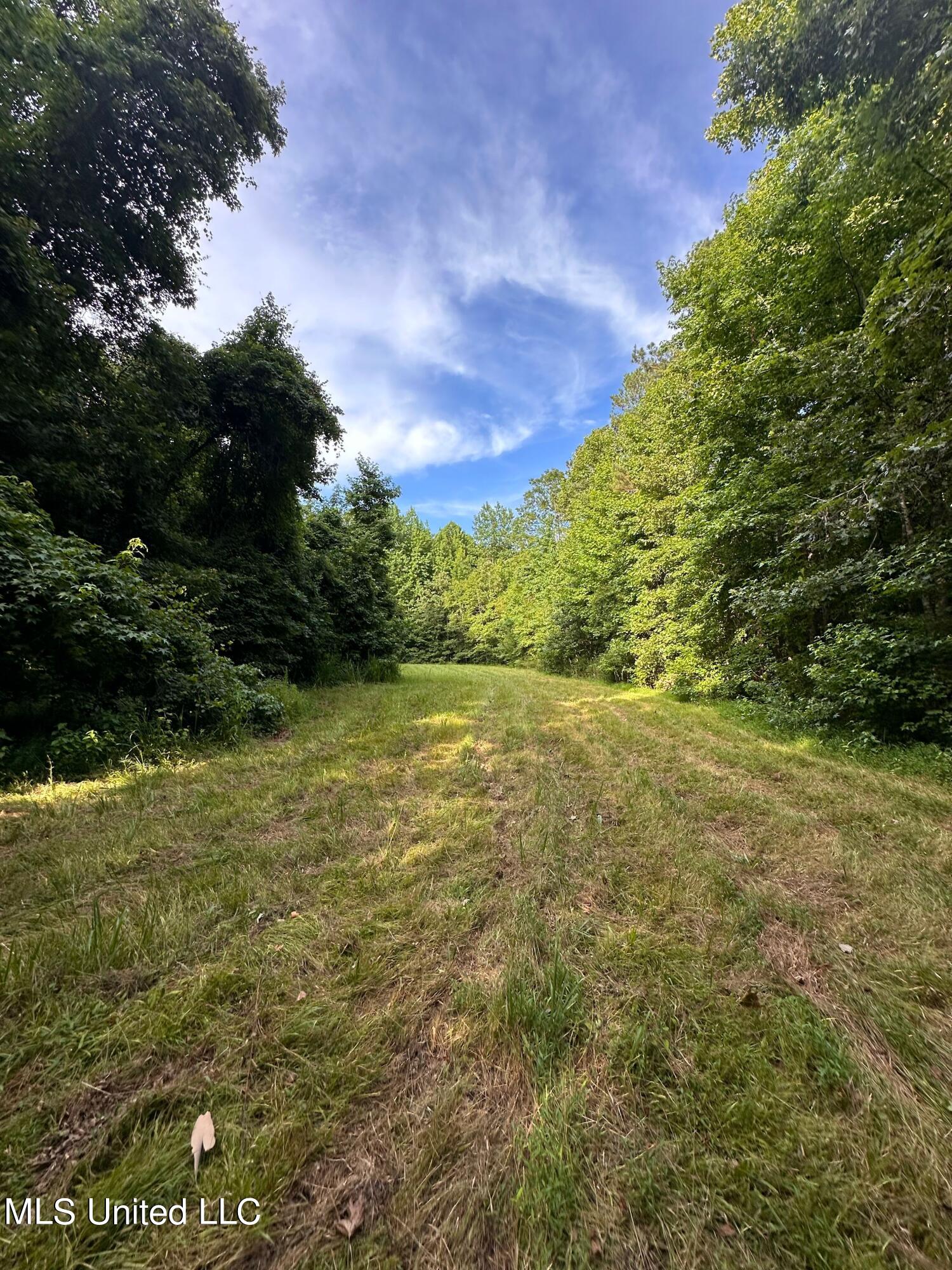 3490 Sand Hill Road Lexington, MS 39095 - Photo 17 of 25 Food Plot 2