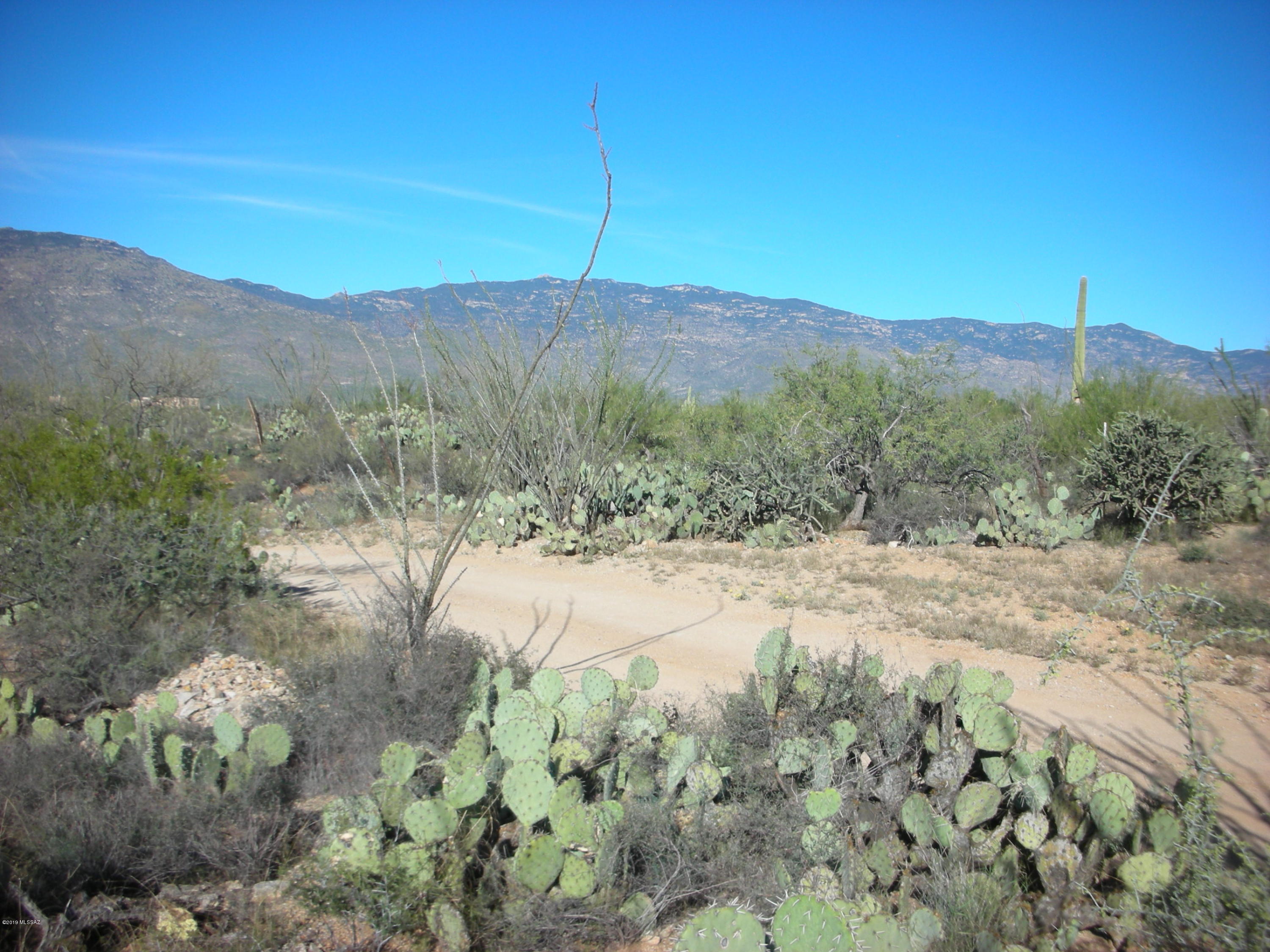 Tbd East Camino Dorotea Road Vail, AZ 85641 - Photo 7 of 24