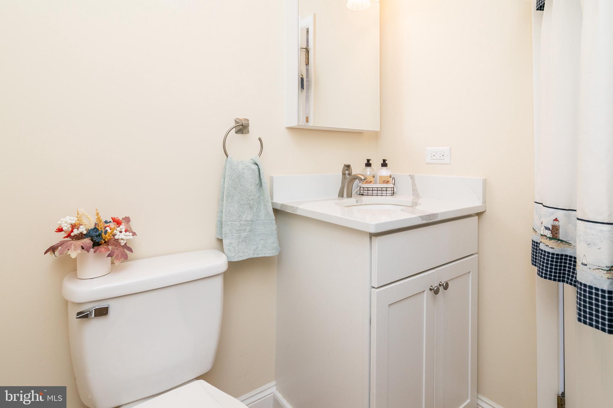 21633 Wetipquin Road Tyaskin, MD 21865 - Photo 13 of 88 a bathroom with a sink toilet and vanity