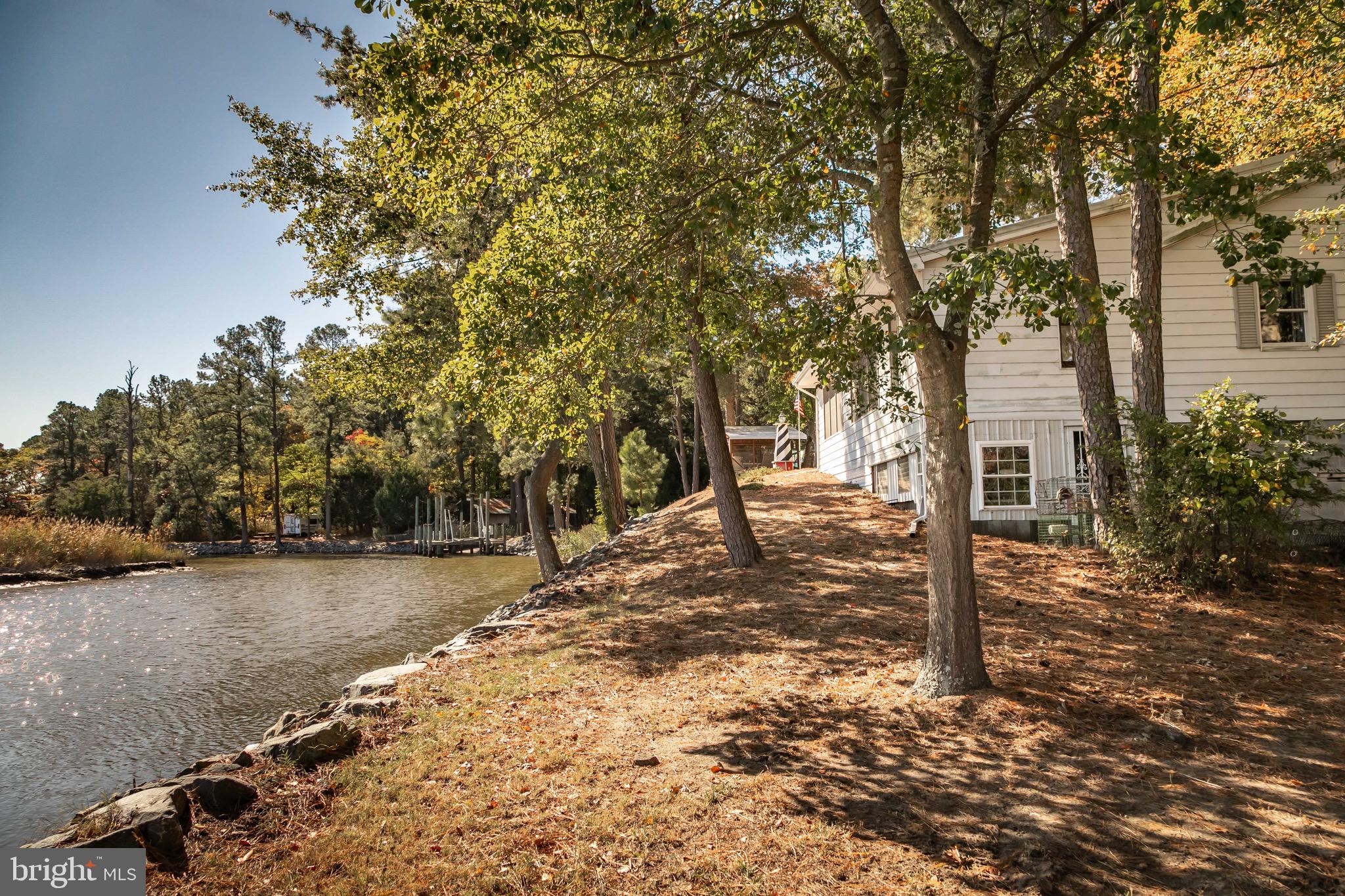 21633 Wetipquin Road Tyaskin, MD 21865 - Photo 5 of 88