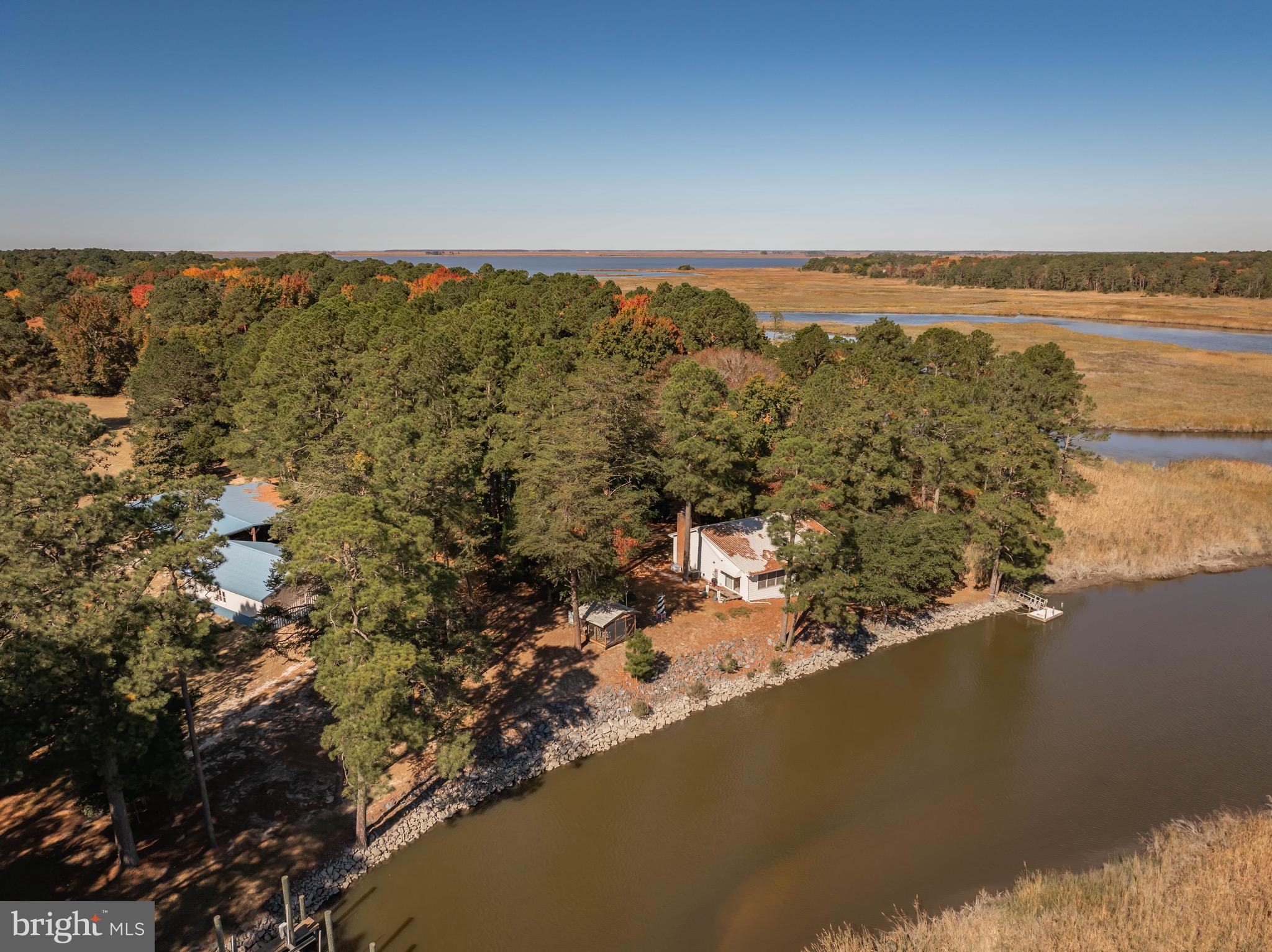 21633 Wetipquin Road Tyaskin, MD 21865 - Photo 71 of 88