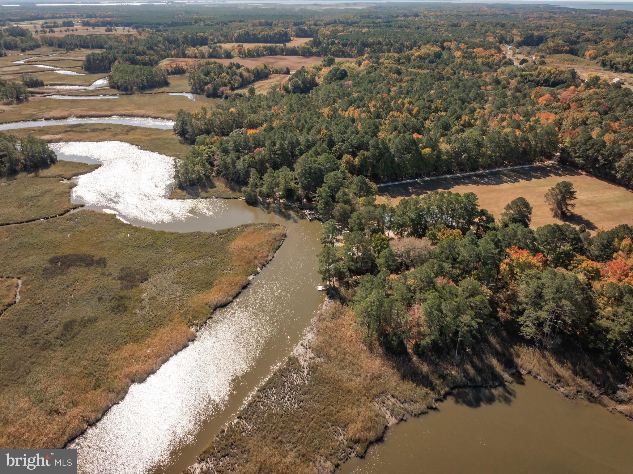 21633 Wetipquin Road Tyaskin, MD 21865 - Photo 74 of 88 a view of a lake with city