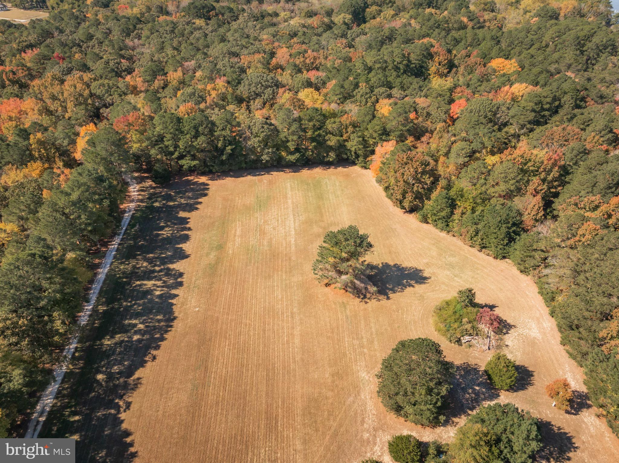 21633 Wetipquin Road Tyaskin, MD 21865 - Photo 77 of 88