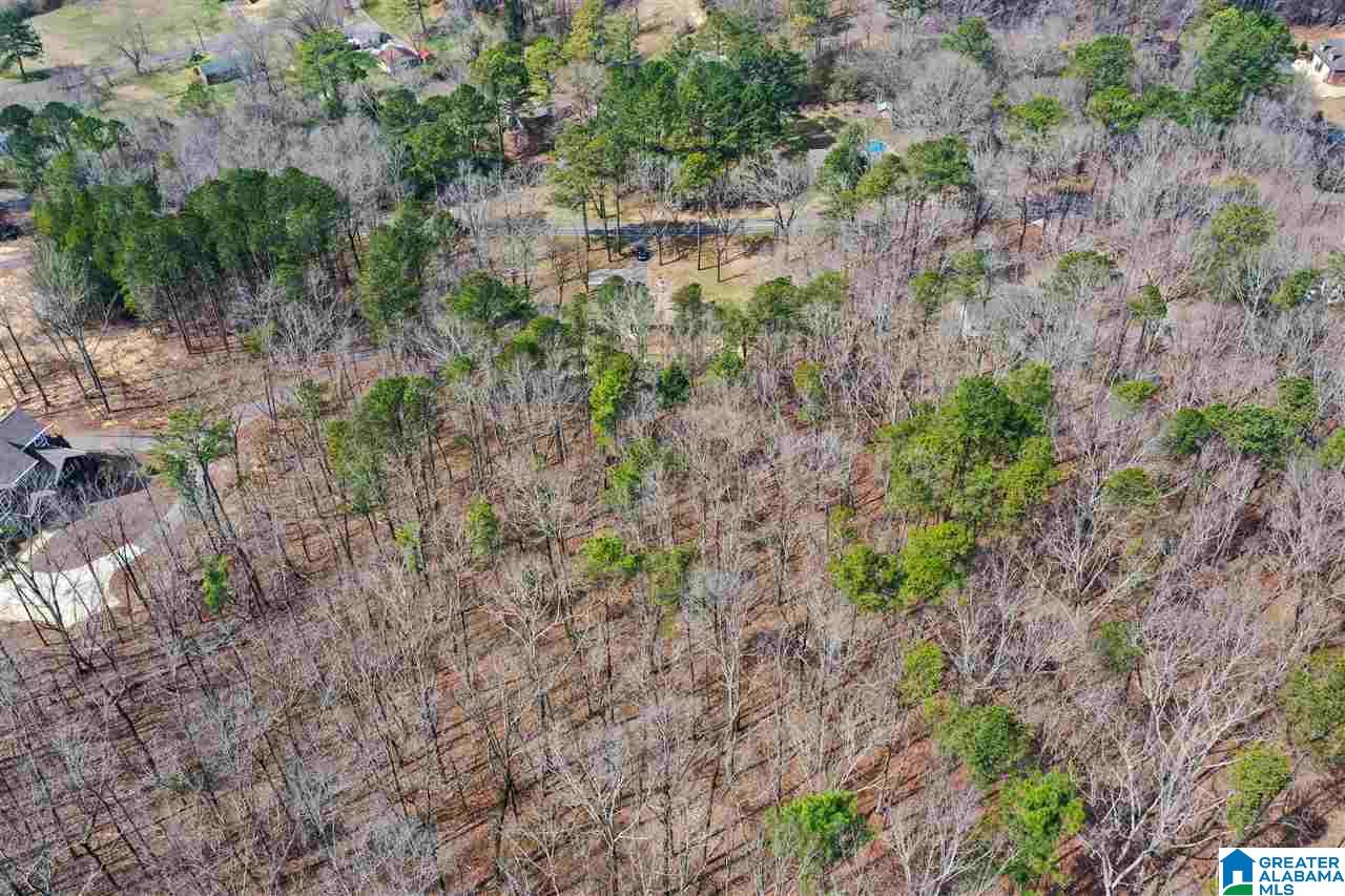 1890 Rex Lake Road Leeds, AL 35094 - Photo 41 of 41