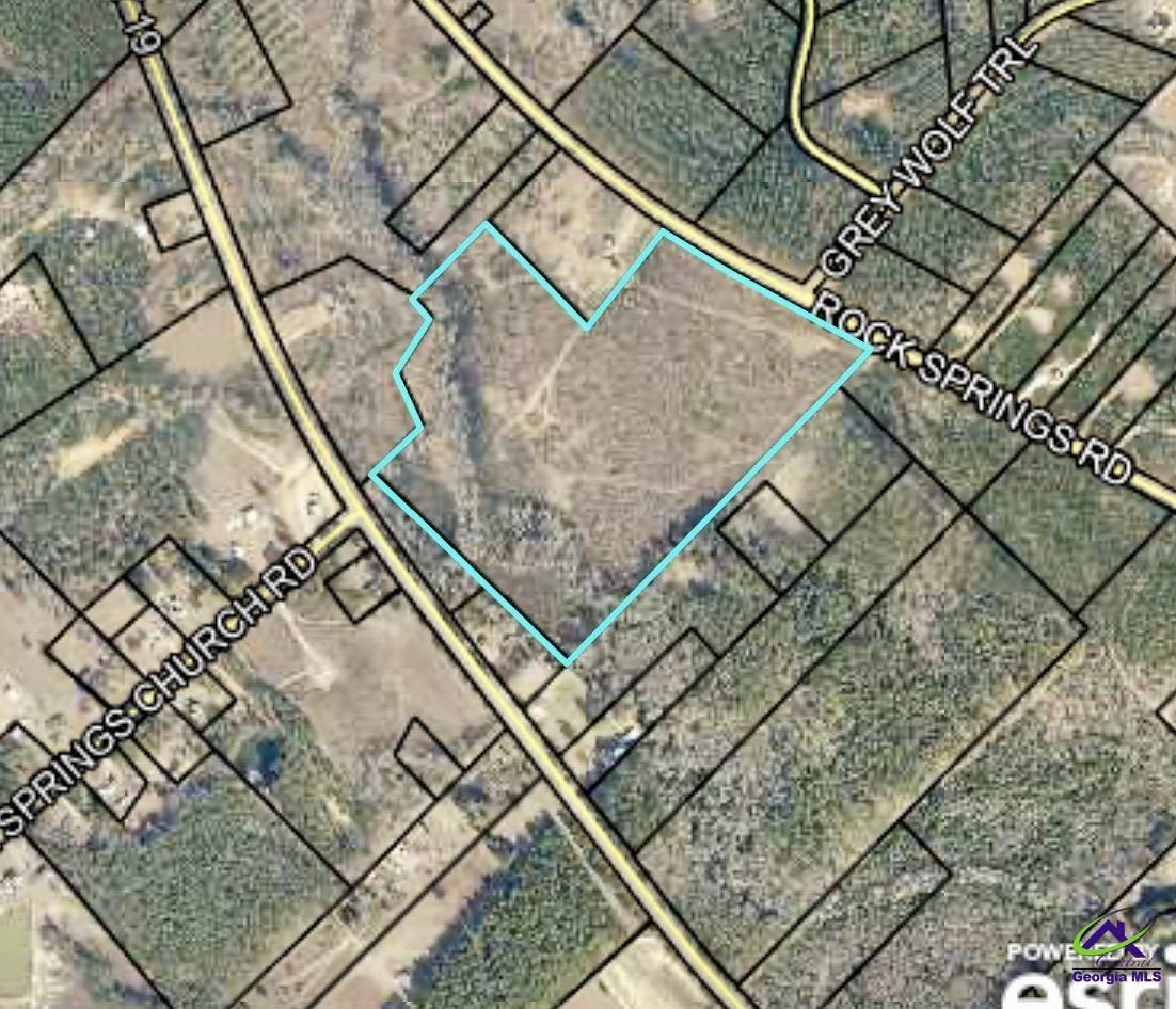 0 Rock Springs Road Cochran, GA 31014 - Photo 3 of 3
