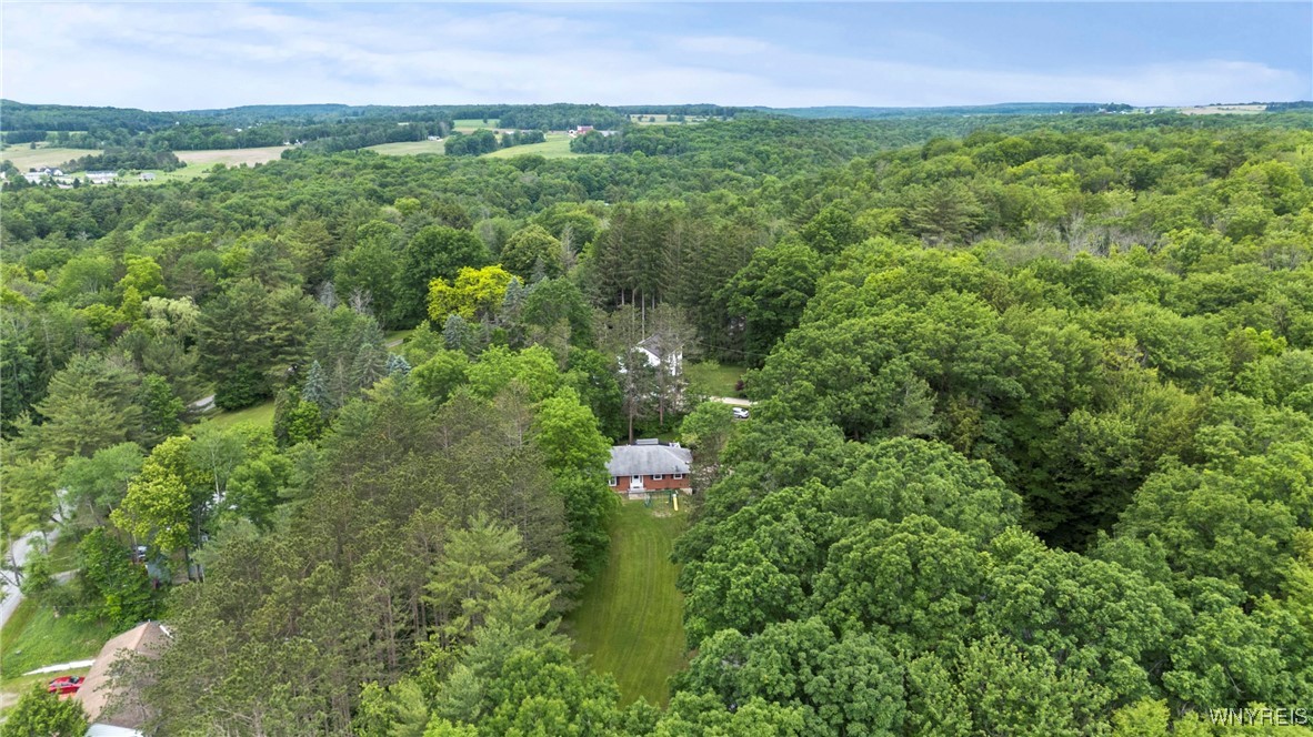 7399 Centerville Road Caneadea, NY 14744 - Photo 38 of 41