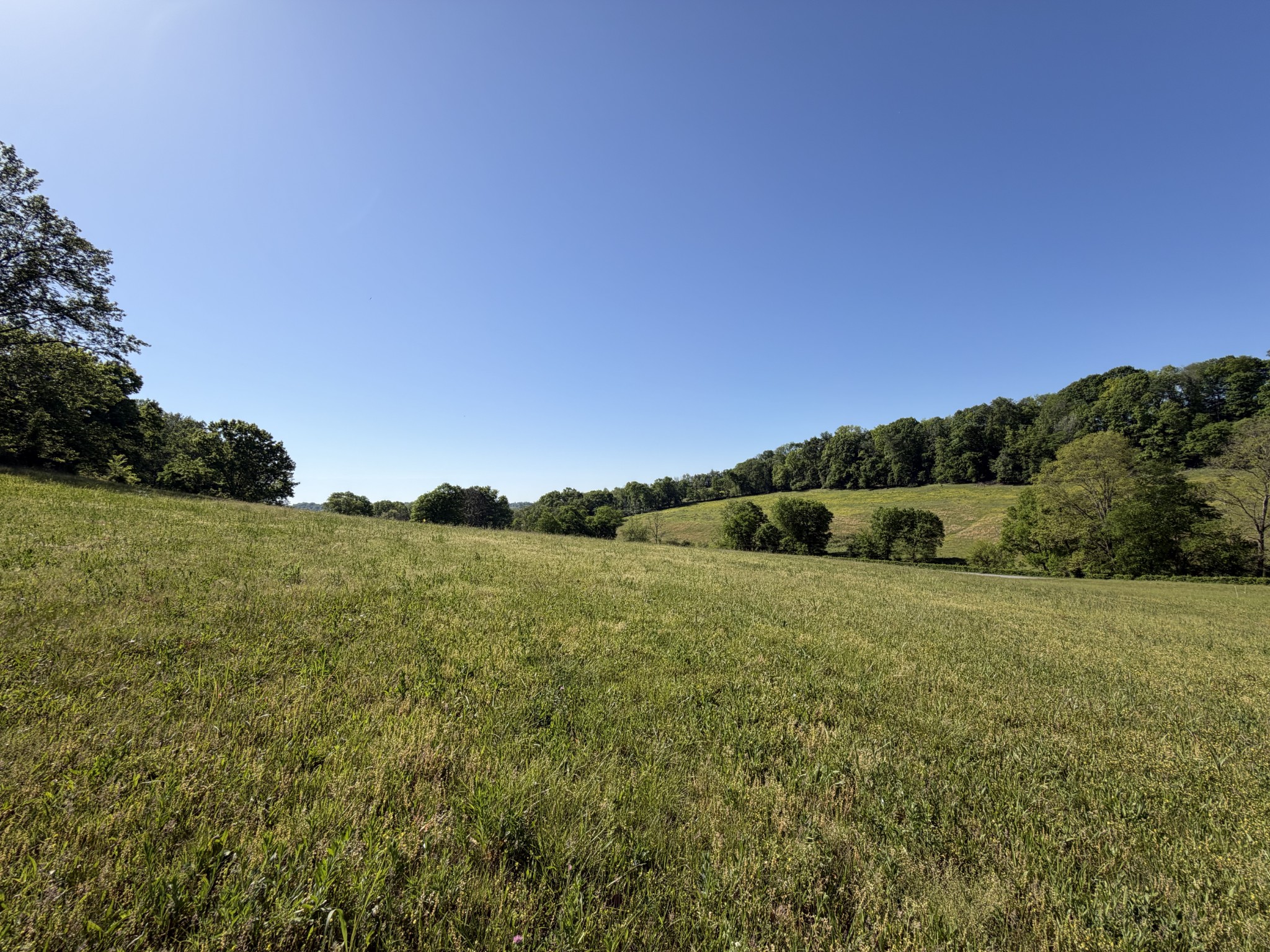 0 Steam Mill Hollow Road Williamsport, TN 38487 - Photo 1 of 23 Gallery Image 1