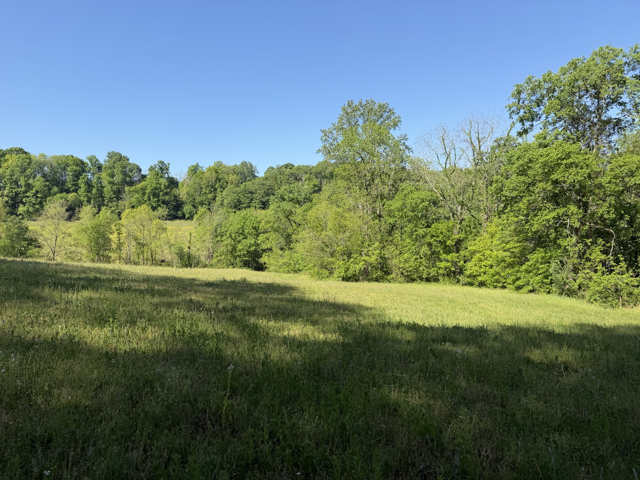 0 Steam Mill Hollow Road Williamsport, TN 38487 - Photo 13 of 23 Gallery Image 13