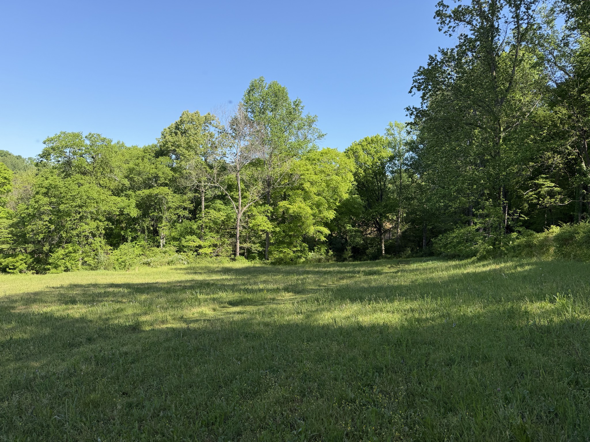 0 Steam Mill Hollow Road Williamsport, TN 38487 - Photo 14 of 23 Gallery Image 14