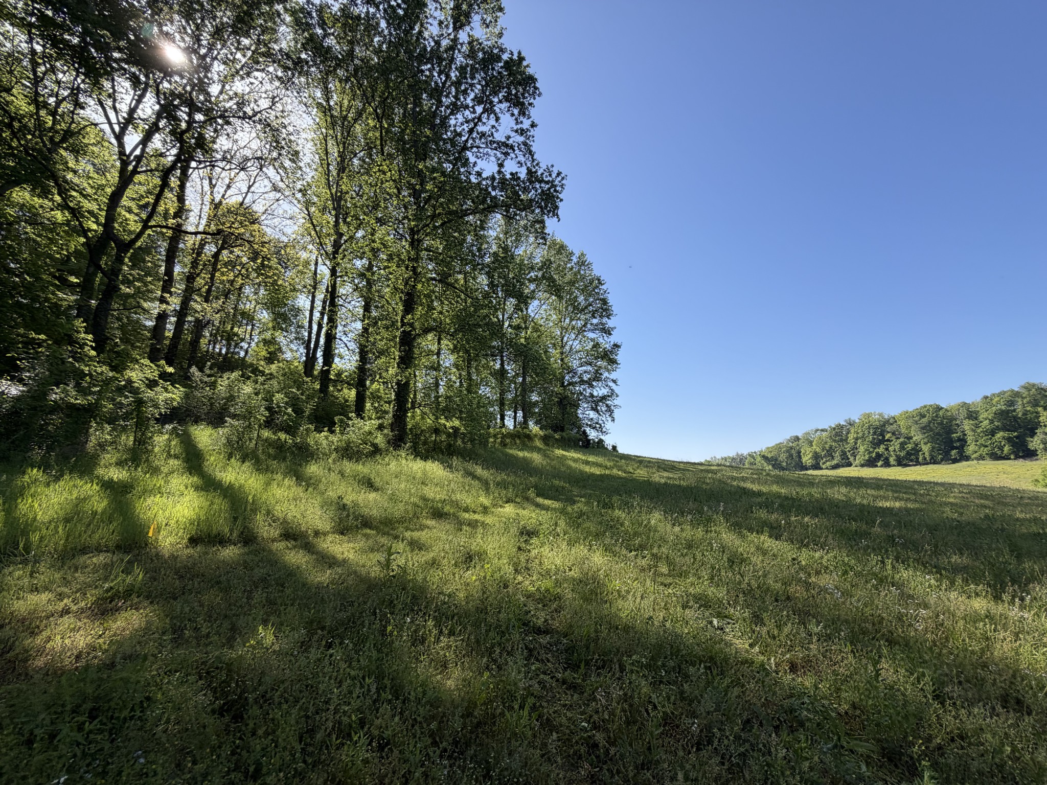 0 Steam Mill Hollow Road Williamsport, TN 38487 - Photo 16 of 23 Gallery Image 16