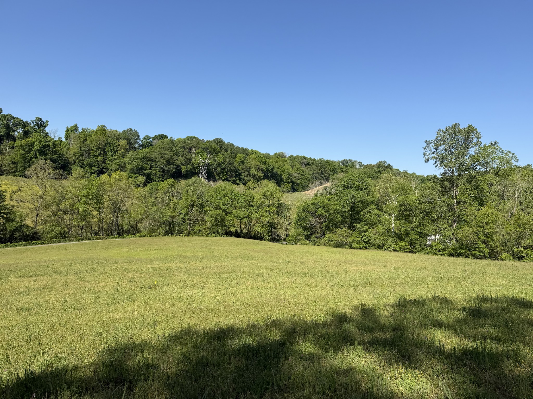 0 Steam Mill Hollow Road Williamsport, TN 38487 - Photo 17 of 23 Gallery Image 17