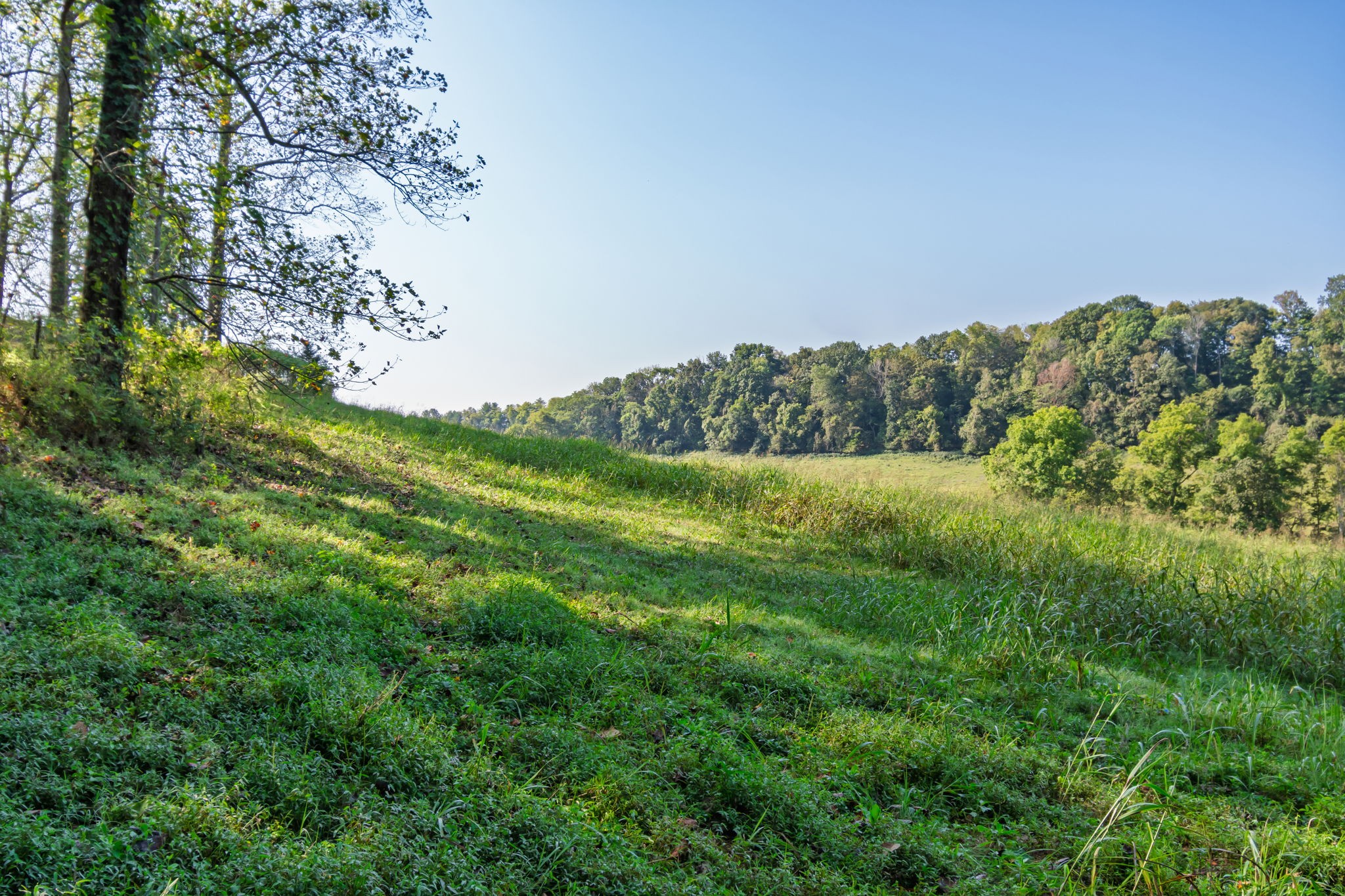 0 Steam Mill Hollow Road Williamsport, TN 38487 - Photo 19 of 23 Gallery Image 19