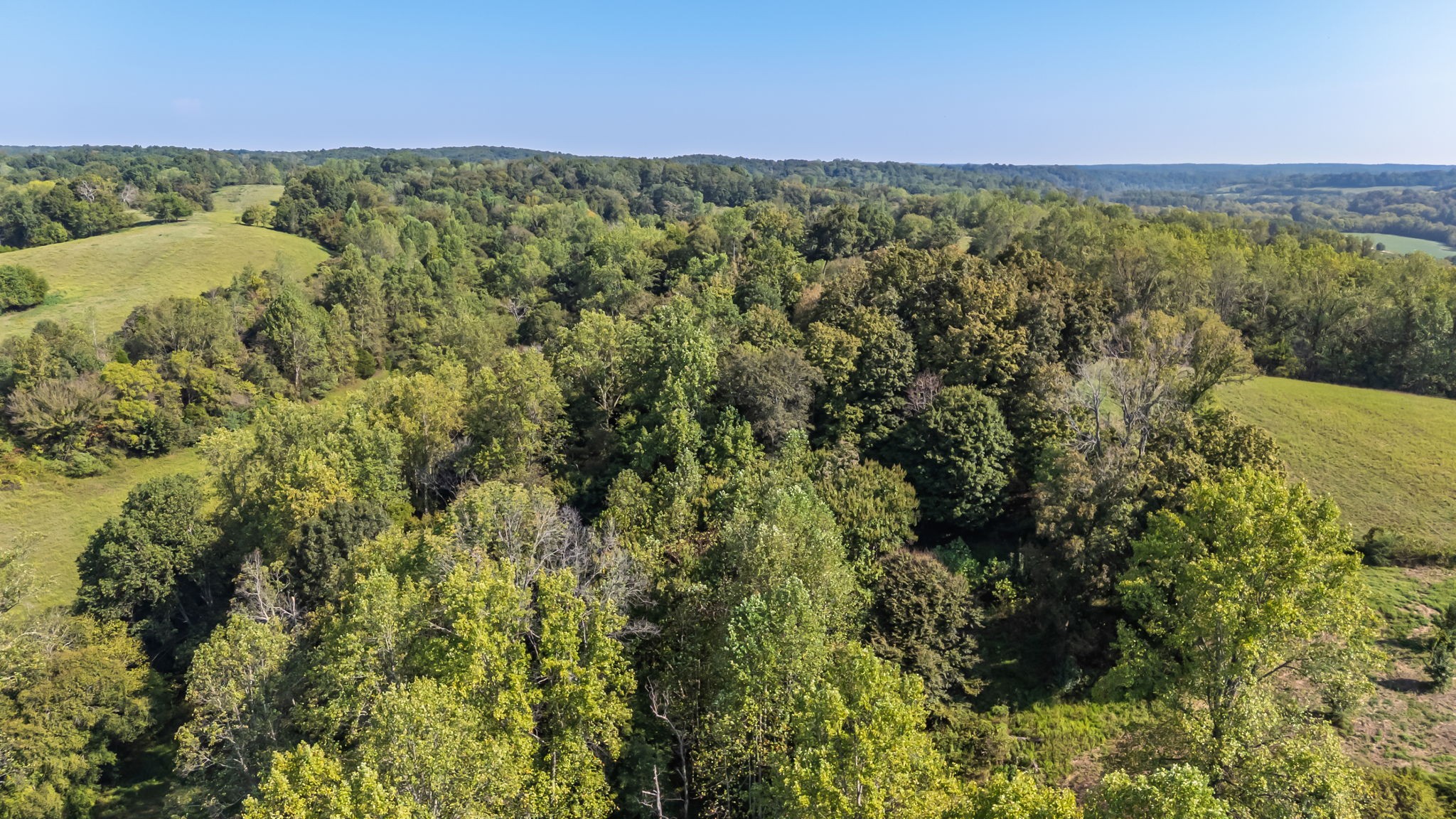 0 Steam Mill Hollow Road Williamsport, TN 38487 - Photo 22 of 23 Gallery Image 22