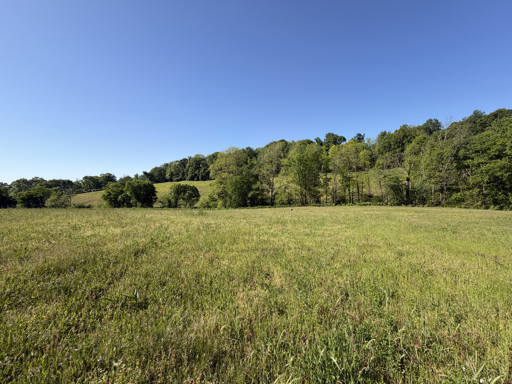 0 Steam Mill Hollow Road Williamsport, TN 38487 - Photo 5 of 23 Gallery Image 5