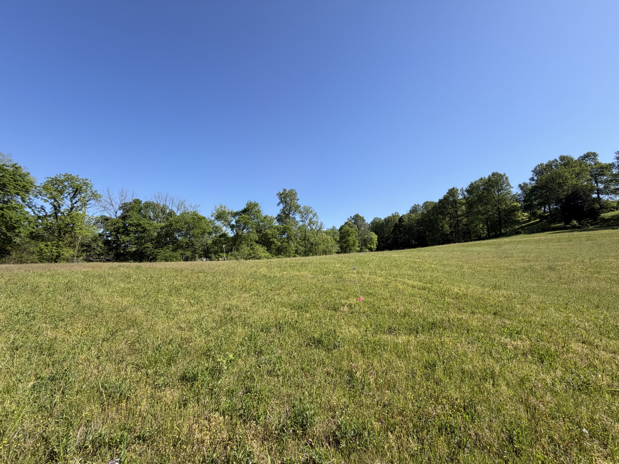 0 Steam Mill Hollow Road Williamsport, TN 38487 - Photo 6 of 23 Gallery Image 6