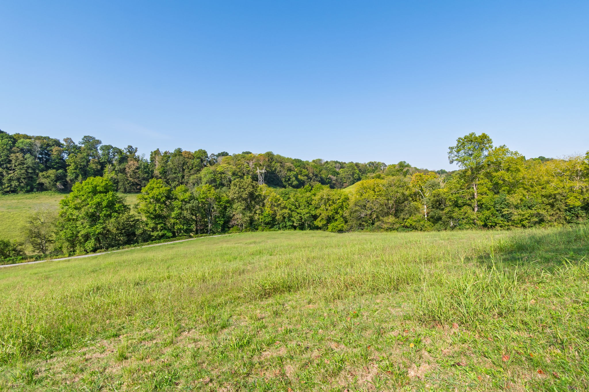 0 Steam Mill Hollow Road Williamsport, TN 38487 - Photo 7 of 23 Gallery Image 7