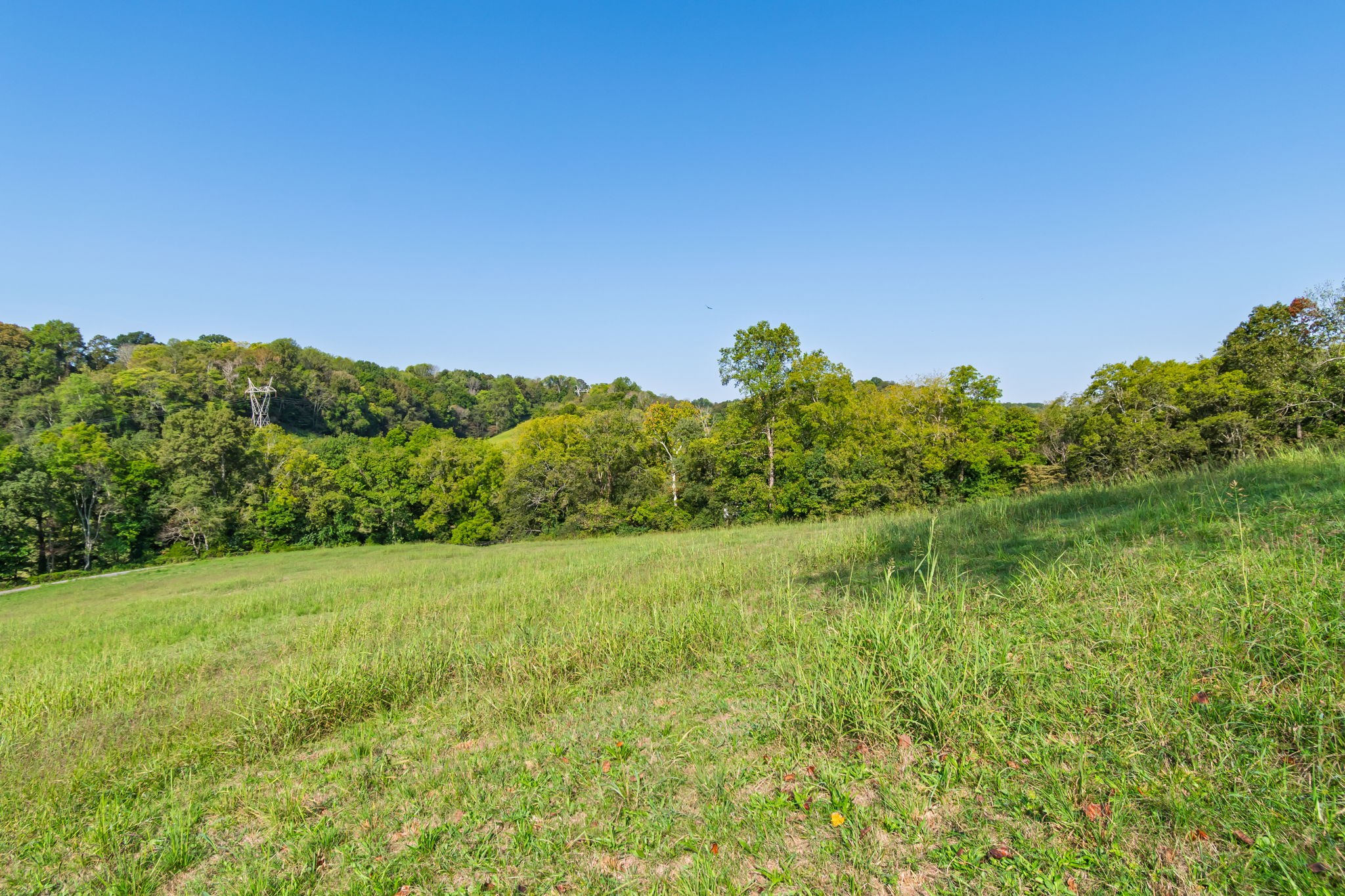 0 Steam Mill Hollow Road Williamsport, TN 38487 - Photo 9 of 23 Gallery Image 9