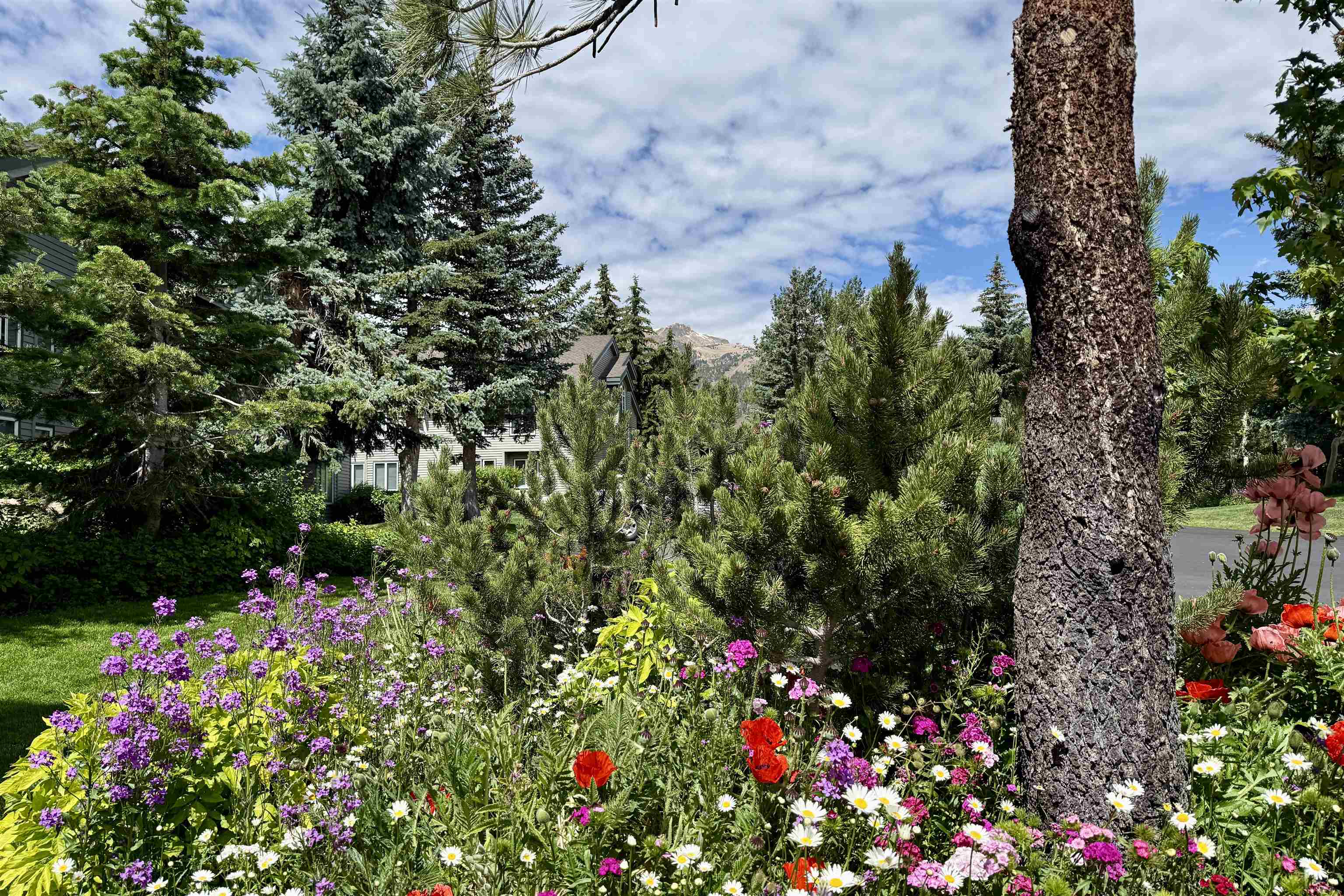 625 Golden Creek Road, Unit 625 Mammoth Lakes, CA 93546 - Photo 37 of 37 Lush landscaping with vibrant perennial flowers, mature evergreen trees, and manicured lawn areas