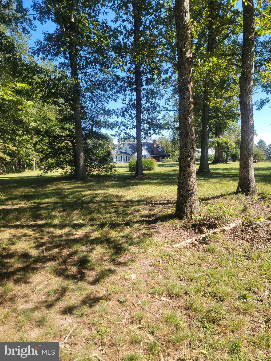 8697 Monumental Mills Road Rixeyville, VA 22737 - Photo 7 of 12 Gallery Image 7