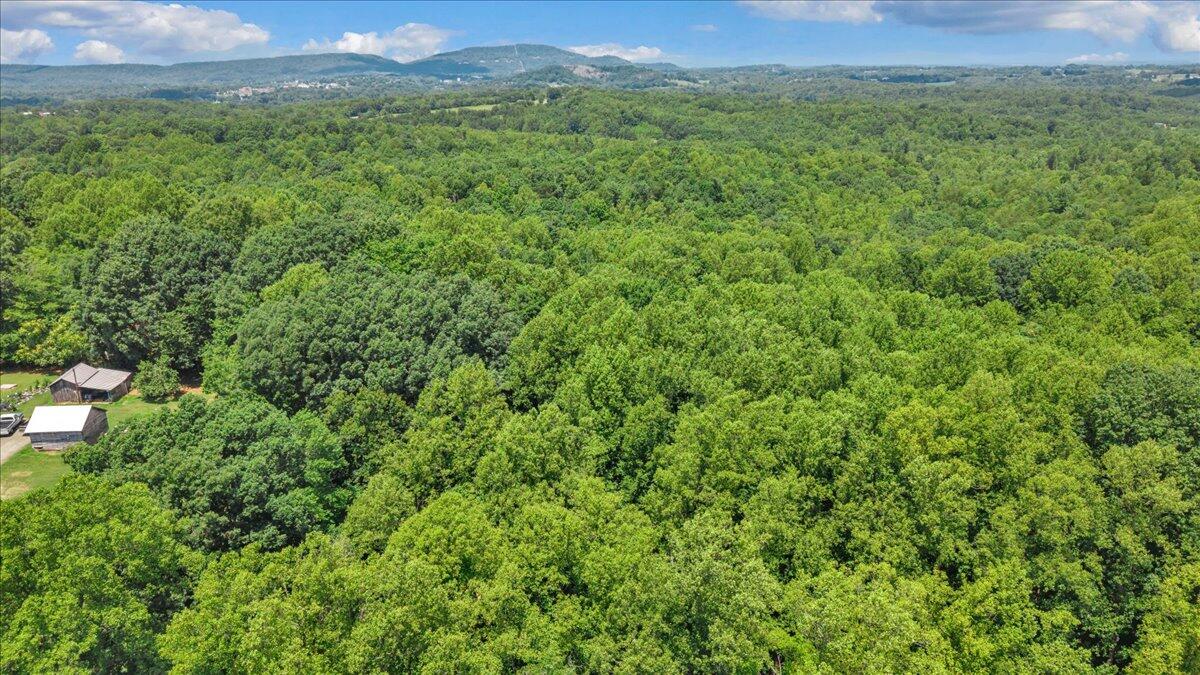 585 Doe Run Road Rocky Mount, VA 24151 - Photo 13 of 15 11-DJI_20260709141813_0025_D