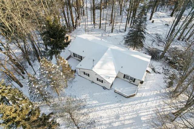 a view of backyard with outdoor and trees