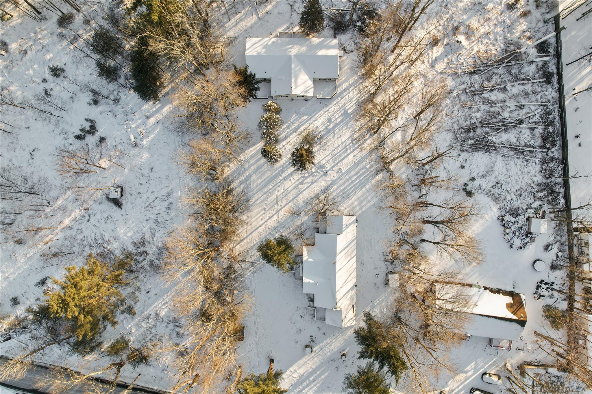 380 Fraser Road Kiamesha Lake, NY 12751 - Photo 13 of 24 a view of a yard with plants and trees