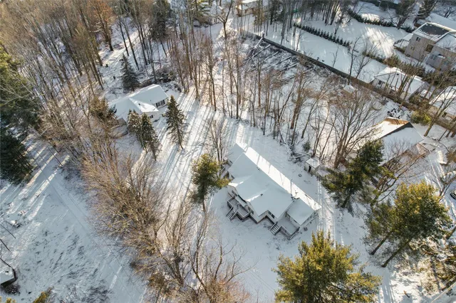 a view of a yard with plants and trees