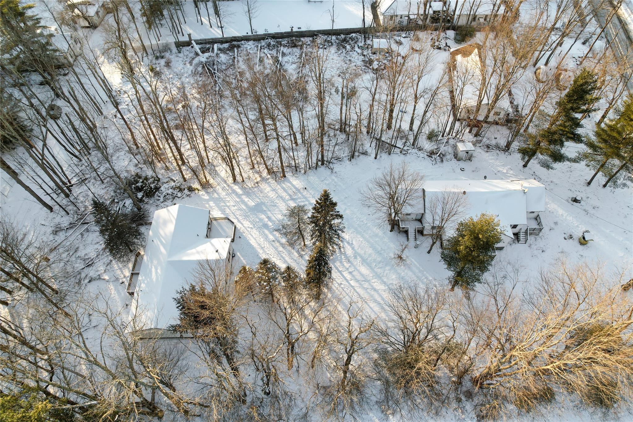 380 Fraser Road Kiamesha Lake, NY 12751 - Photo 15 of 24 a view of a yard with plants and large trees