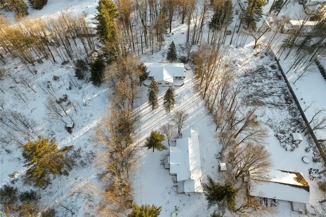 a view of a yard with plants