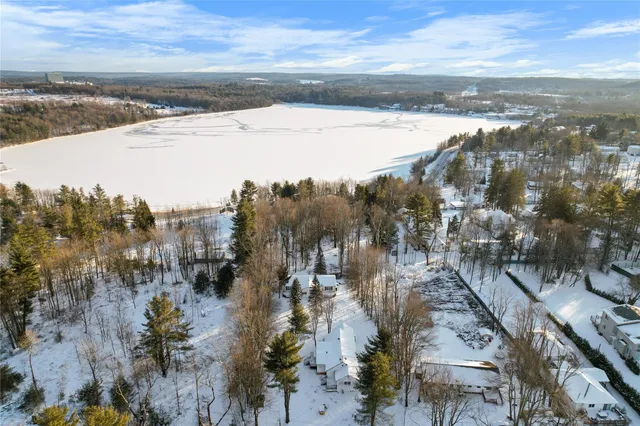 a view of a yard with plants and large trees