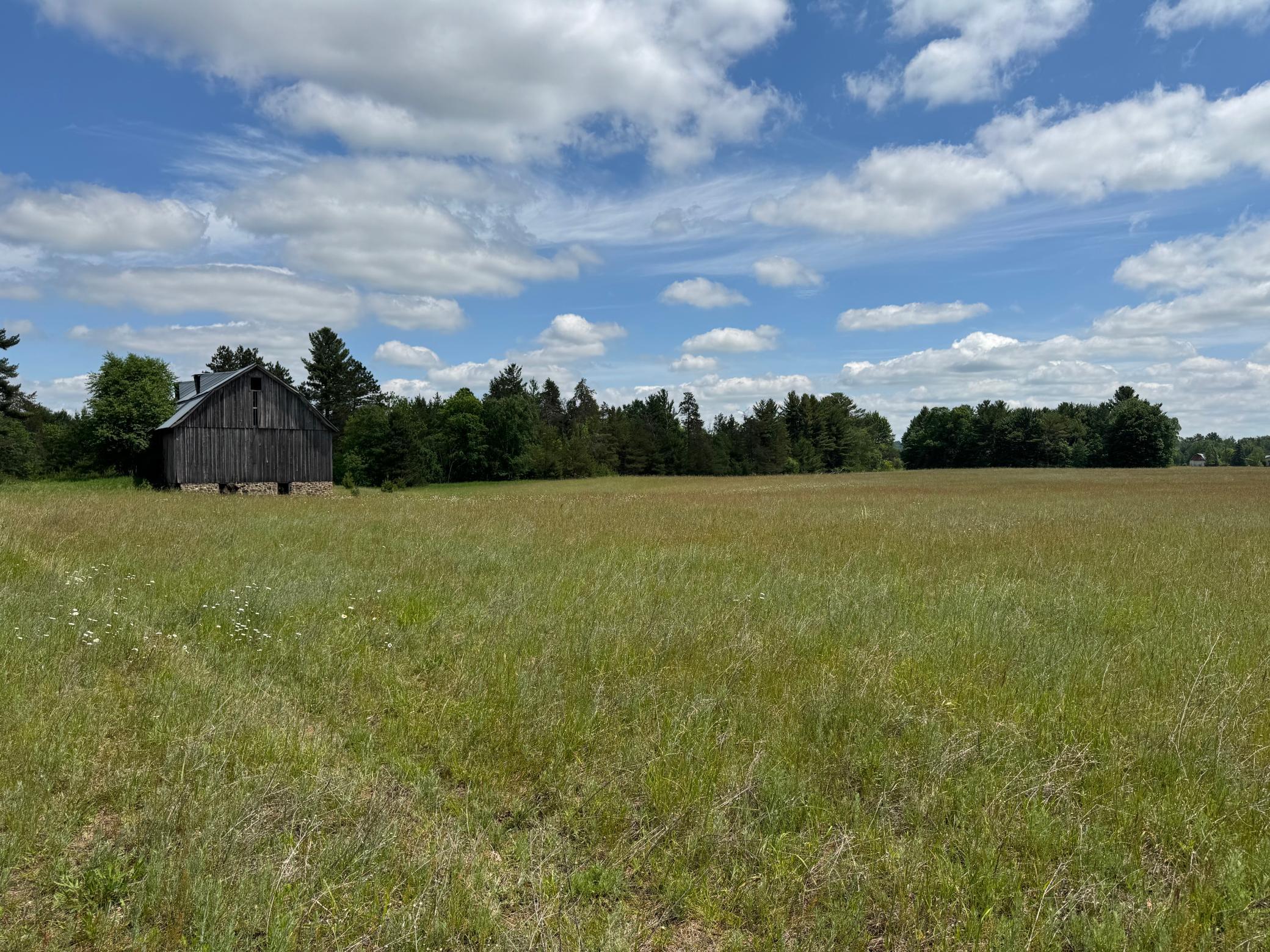 6398 Fred Tripp Road Springbrook, WI 54875 - Photo 4 of 30