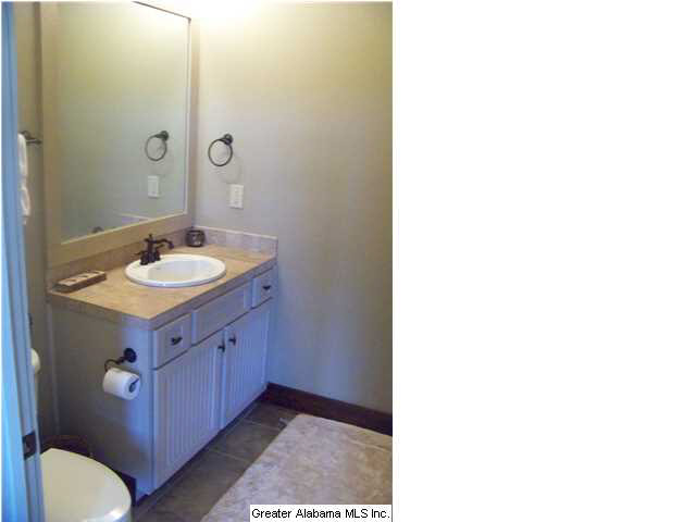 232 Ridgeview Point Alexander City, AL 35010 - Photo 8 of 30