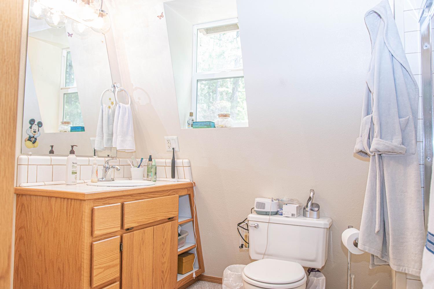 5010 Hope Mountain Road Georgetown, CA 95634 - Photo 16 of 42 a bathroom with a toilet sink and mirror
