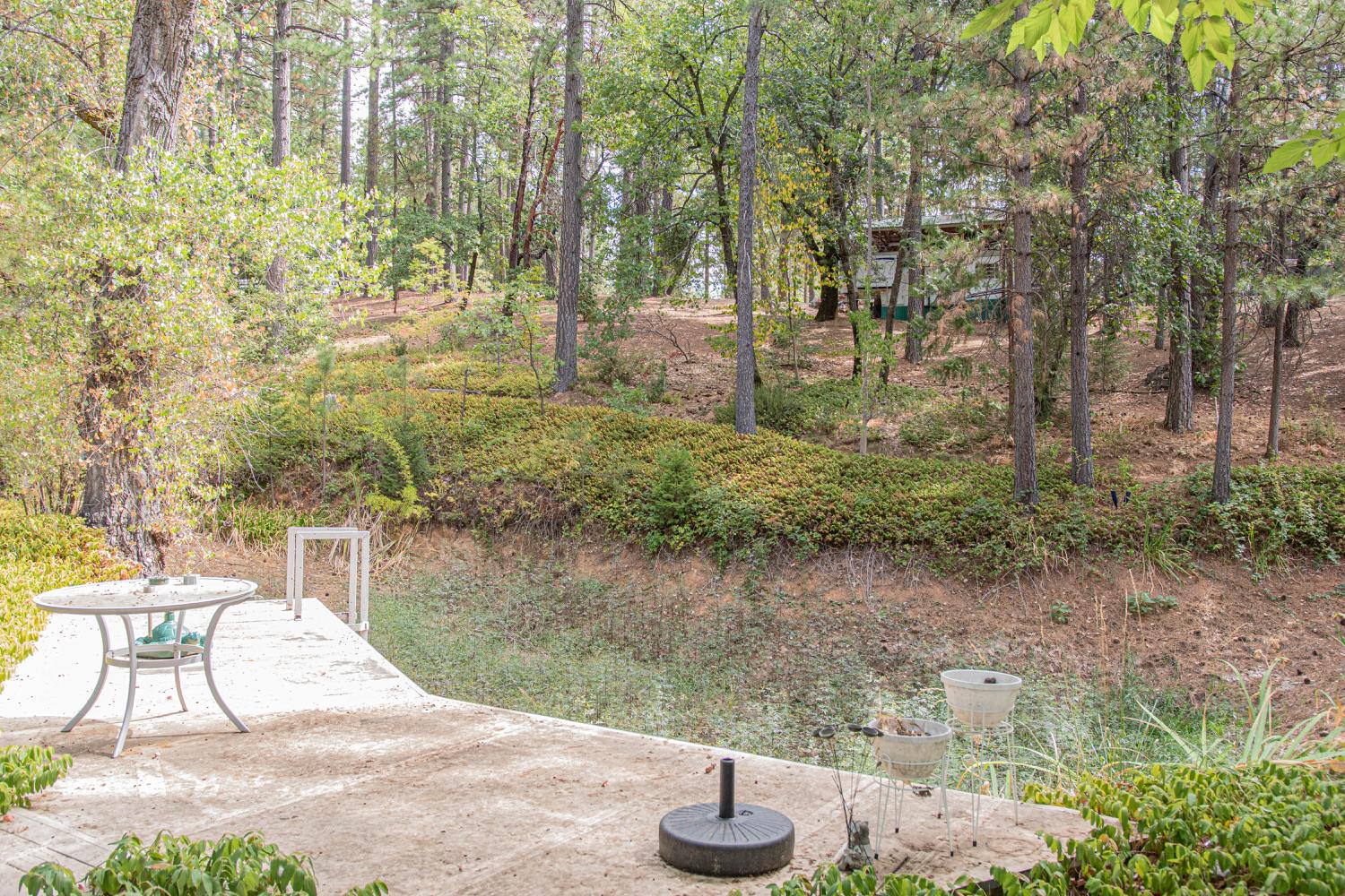 5010 Hope Mountain Road Georgetown, CA 95634 - Photo 23 of 42 a view of a yard with plants