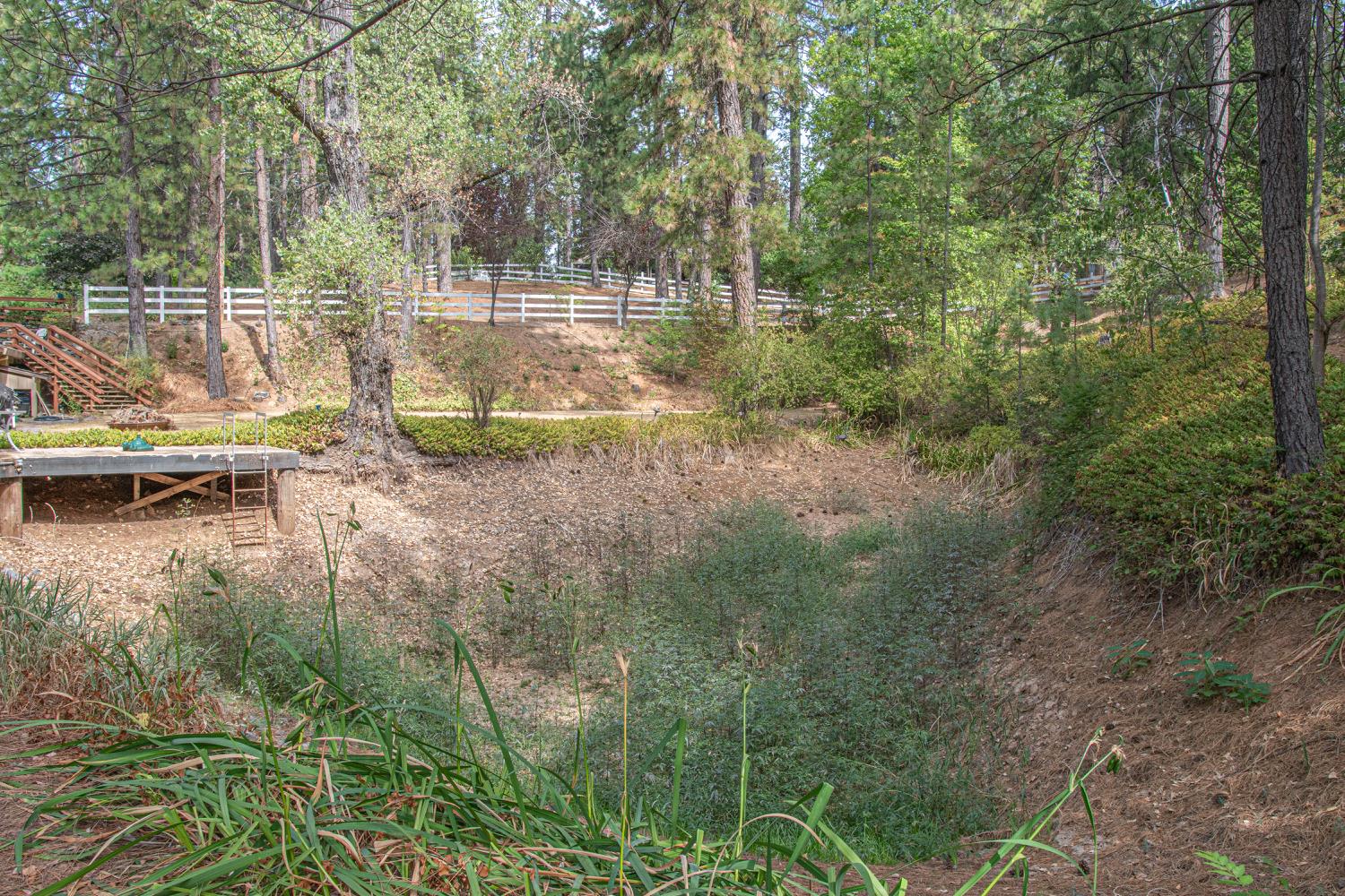 5010 Hope Mountain Road Georgetown, CA 95634 - Photo 26 of 42 a view of a backyard with swimming pool