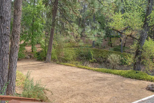 a view of a yard with trees