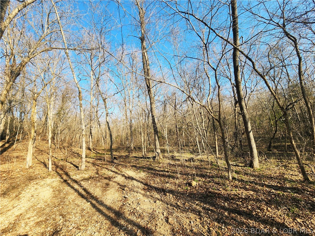 18 Brown Road Tuscumbia, MO 65082 - Photo 21 of 57