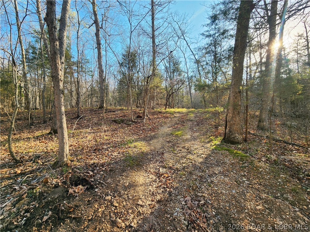 18 Brown Road Tuscumbia, MO 65082 - Photo 22 of 57