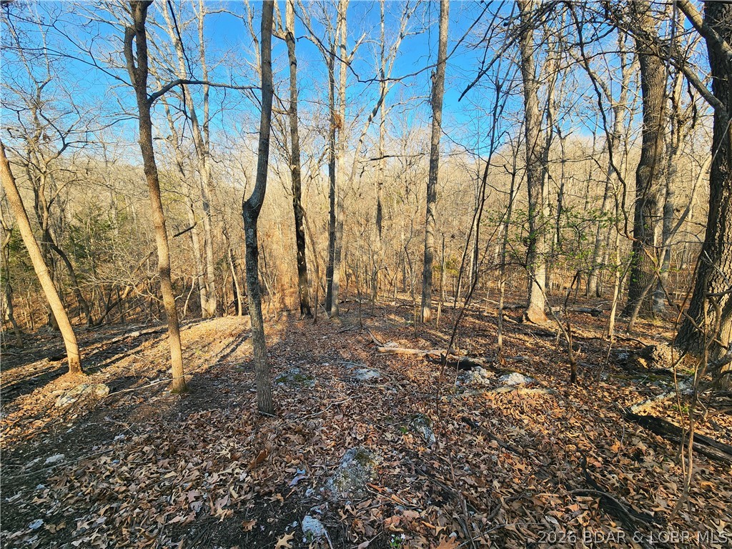 18 Brown Road Tuscumbia, MO 65082 - Photo 24 of 57