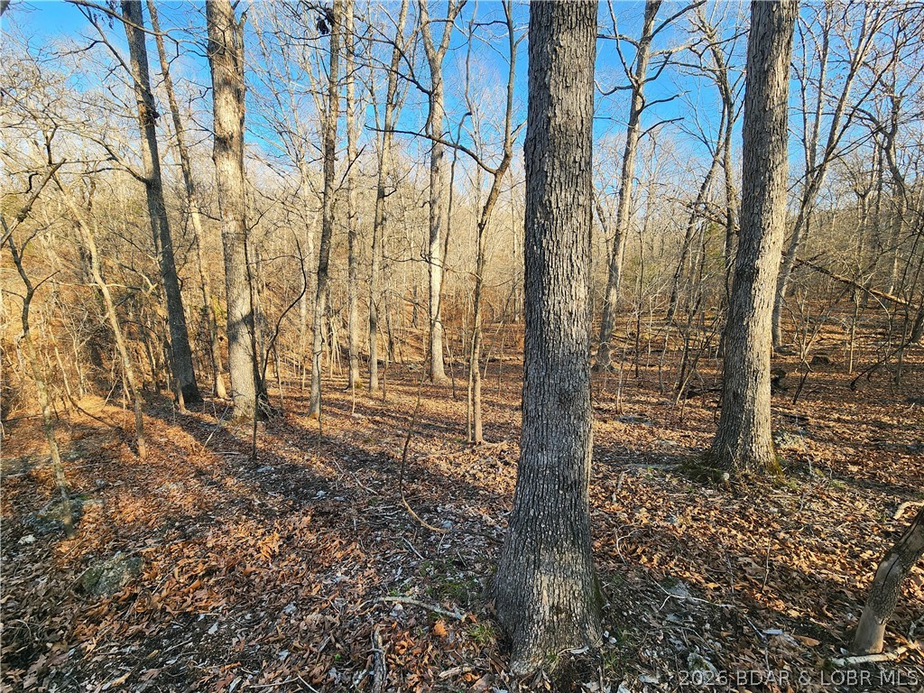 18 Brown Road Tuscumbia, MO 65082 - Photo 25 of 57
