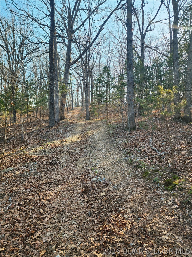 18 Brown Road Tuscumbia, MO 65082 - Photo 26 of 57