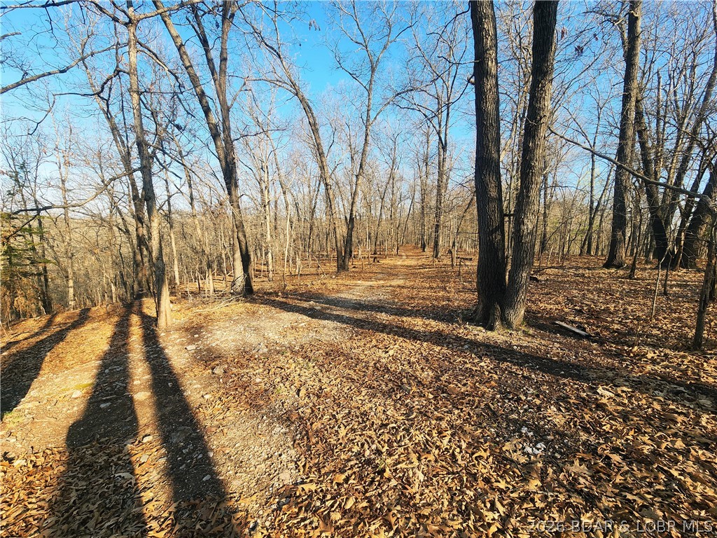 18 Brown Road Tuscumbia, MO 65082 - Photo 27 of 57