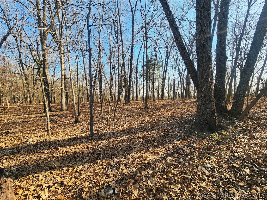 18 Brown Road Tuscumbia, MO 65082 - Photo 28 of 57