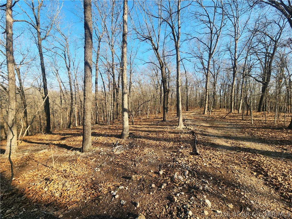 18 Brown Road Tuscumbia, MO 65082 - Photo 29 of 57